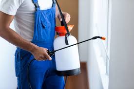 Best Fumigation Services  in Nicholls, GA